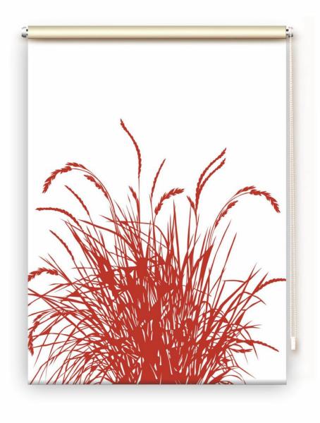 Rollo Reed24 rot blanco  - Sichtschutz Extartiqe